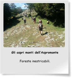 Gli aspri monti dell’Aspromonte  Foreste inestricabili.