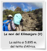 Le nevi del Kilimanjaro (V)  La salita ai 5.895 m. del tetto d’Africa.