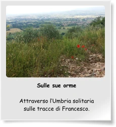 Sulle sue orme  Attraverso l’Umbria solitaria sulle tracce di Francesco.