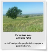 Peregrinus solus ad limina Petri  La via Francigena lungo splendide campagne e paesi medioevali.